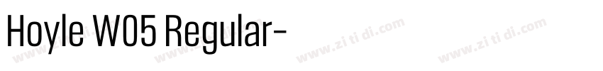 Hoyle W05 Regular字体转换